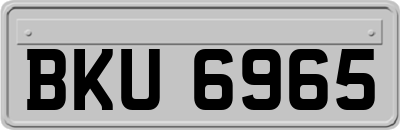 BKU6965