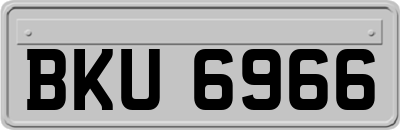 BKU6966