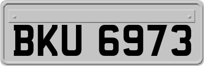 BKU6973