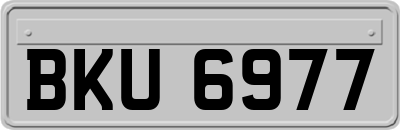 BKU6977