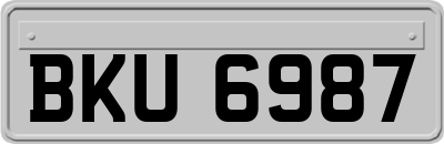 BKU6987