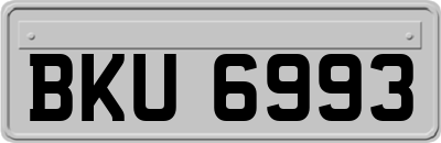 BKU6993