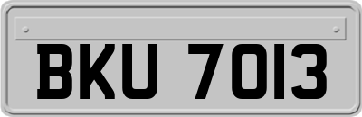 BKU7013