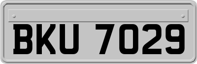 BKU7029