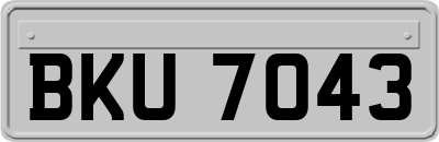 BKU7043
