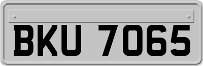 BKU7065