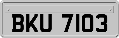 BKU7103