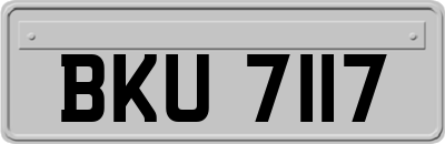 BKU7117