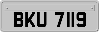 BKU7119