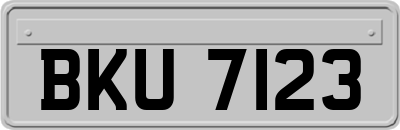 BKU7123