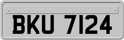 BKU7124