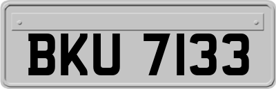 BKU7133