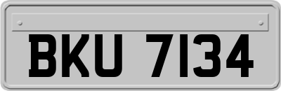 BKU7134