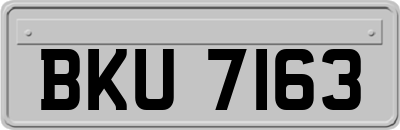 BKU7163