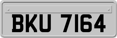 BKU7164