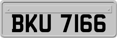 BKU7166