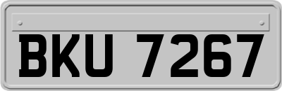 BKU7267