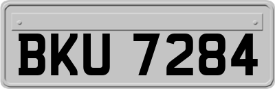 BKU7284