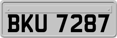 BKU7287