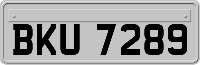 BKU7289