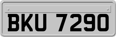 BKU7290