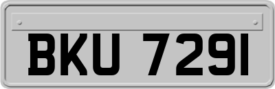 BKU7291