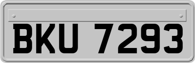 BKU7293