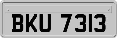 BKU7313
