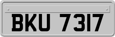 BKU7317