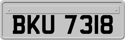 BKU7318
