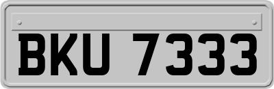 BKU7333