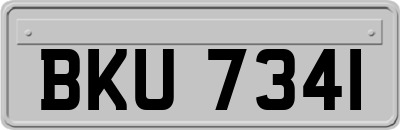 BKU7341