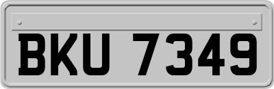 BKU7349