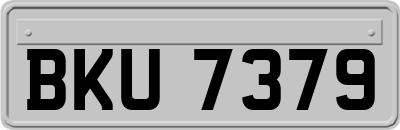 BKU7379