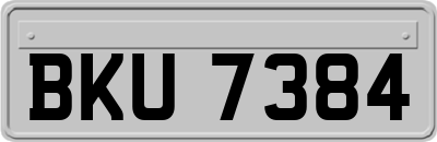 BKU7384