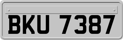 BKU7387
