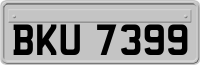 BKU7399
