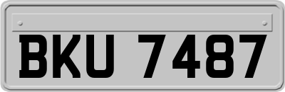 BKU7487