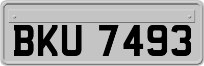 BKU7493