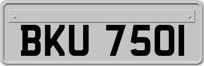BKU7501