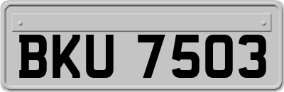 BKU7503