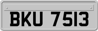 BKU7513