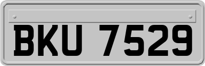 BKU7529