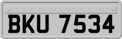 BKU7534