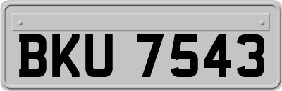 BKU7543