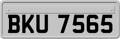 BKU7565