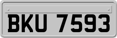 BKU7593