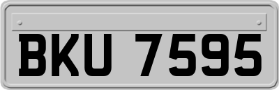 BKU7595