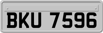 BKU7596