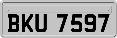 BKU7597